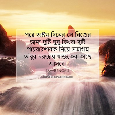 Picture 07 - লেবীয়া 15:29 BENIRV - পরে অষ্টম দিনের সে - Bible Verse Picture