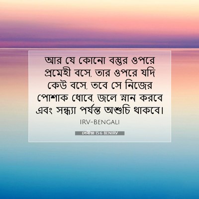 Picture 07 - লেবীয়া 15:6 BENIRV - আর যে কোনো বস্তুর - Bible Verse Picture