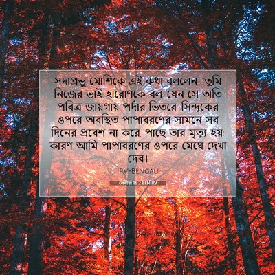 Picture 07 - লেবীয়া 16:2 BENIRV - সদাপ্রভু মোশিকে - Bible Verse Picture