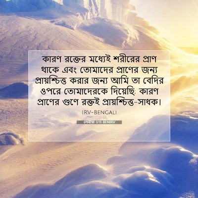 Picture 07 - লেবীয়া 17:11 BENIRV - কারণ রক্তের - Bible Verse Picture