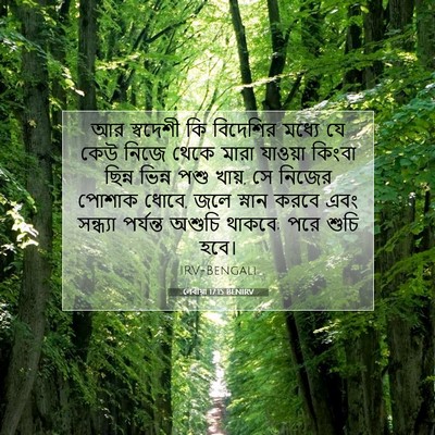 Picture 07 - লেবীয়া 17:15 BENIRV - আর স্বদেশী কি - Bible Verse Picture