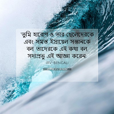 Picture 07 - লেবীয়া 17:2 BENIRV - “তুমি হারোণ ও তার - Bible Verse Picture