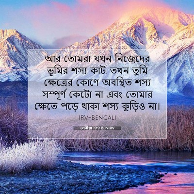 Picture 07 - লেবীয়া 19:9 BENIRV - আর তোমরা যখন - Bible Verse Picture