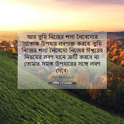 Picture 07 - লেবীয়া 2:13 BENIRV - আর তুমি নিজের শস্য - Bible Verse Picture