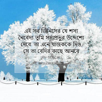 Picture 07 - লেবীয়া 2:8 BENIRV - এই সব জিনিসের যে - Bible Verse Picture