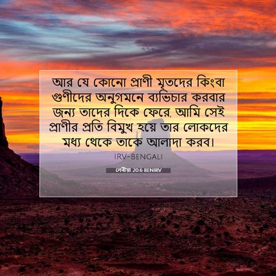 Picture 07 - লেবীয়া 20:6 BENIRV - আর যে কোনো প্রাণী - Bible Verse Picture