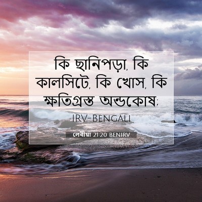 Picture 07 - লেবীয়া 21:20 BENIRV - কি ছানিপড়া, কি - Bible Verse Picture