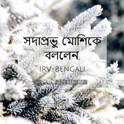Picture 07 - লেবীয়া 22:1 BENIRV - সদাপ্রভু মোশিকে - Bible Verse Picture