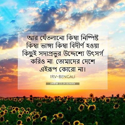 Picture 07 - লেবীয়া 22:24 BENIRV - আর থেঁতলানো - Bible Verse Picture