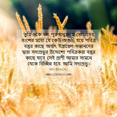 Picture 07 - লেবীয়া 22:3 BENIRV - তুমি ওকে বল, - Bible Verse Picture