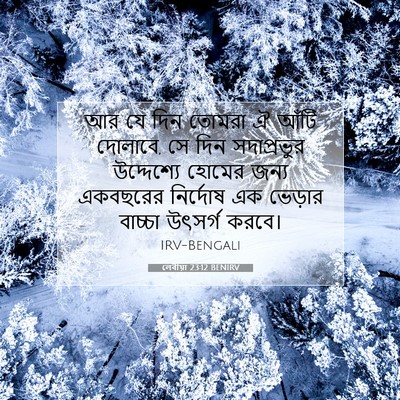 Picture 07 - লেবীয়া 23:12 BENIRV - আর যে দিন তোমরা ঐ - Bible Verse Picture