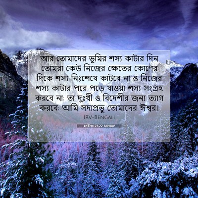 Picture 07 - লেবীয়া 23:22 BENIRV - আর তোমাদের ভূমির - Bible Verse Picture