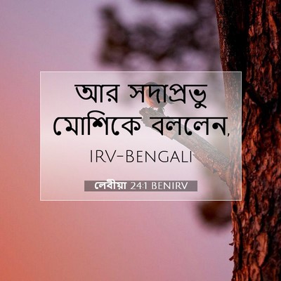 Picture 07 - লেবীয়া 24:1 BENIRV - আর সদাপ্রভু - Bible Verse Picture