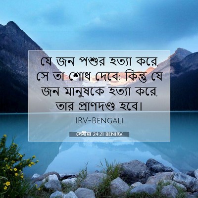 Picture 07 - লেবীয়া 24:21 BENIRV - যে জন পশুর হত্যা - Bible Verse Picture