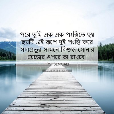 Picture 07 - লেবীয়া 24:6 BENIRV - পরে তুমি এক এক - Bible Verse Picture