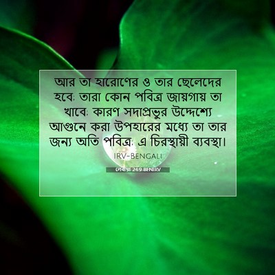 Picture 07 - লেবীয়া 24:9 BENIRV - আর তা হারোণের ও তার - Bible Verse Picture