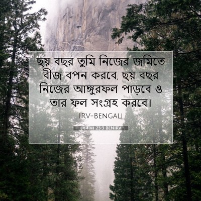 Picture 07 - লেবীয়া 25:3 BENIRV - ছয় বছর তুমি নিজের - Bible Verse Picture
