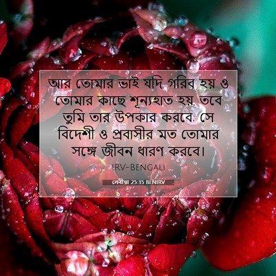 Picture 07 - লেবীয়া 25:35 BENIRV - আর তোমার ভাই যদি - Bible Verse Picture