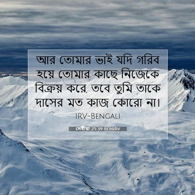 Picture 07 - লেবীয়া 25:39 BENIRV - আর তোমার ভাই যদি - Bible Verse Picture