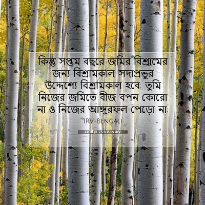 Picture 07 - লেবীয়া 25:4 BENIRV - কিন্তু সপ্তম বছরে - Bible Verse Picture