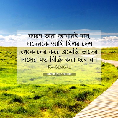 Picture 07 - লেবীয়া 25:42 BENIRV - কারণ তারা আমারই - Bible Verse Picture