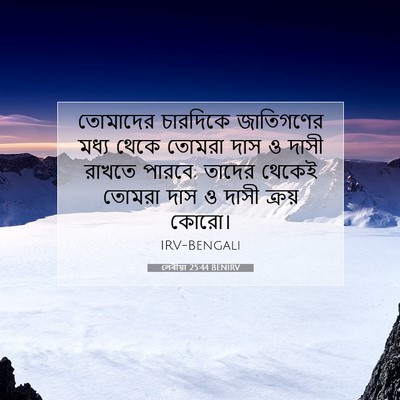 Picture 07 - লেবীয়া 25:44 BENIRV - তোমাদের চারদিকে - Bible Verse Picture