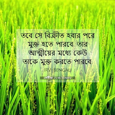 Picture 07 - লেবীয়া 25:48 BENIRV - তবে সে বিক্রীত - Bible Verse Picture