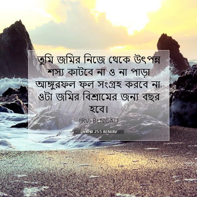 Picture 07 - লেবীয়া 25:5 BENIRV - তুমি জমির নিজে - Bible Verse Picture