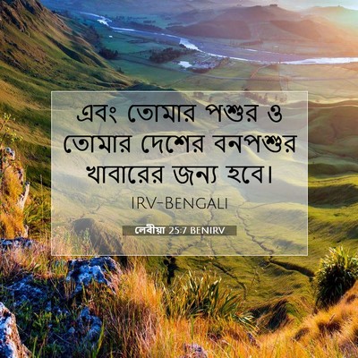 Picture 07 - লেবীয়া 25:7 BENIRV - এবং তোমার পশুর ও - Bible Verse Picture