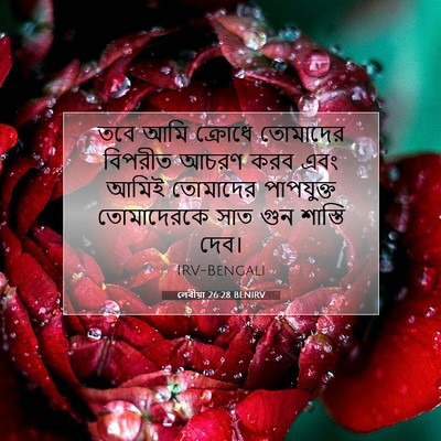 Picture 07 - লেবীয়া 26:28 BENIRV - তবে আমি ক্রোধে - Bible Verse Picture