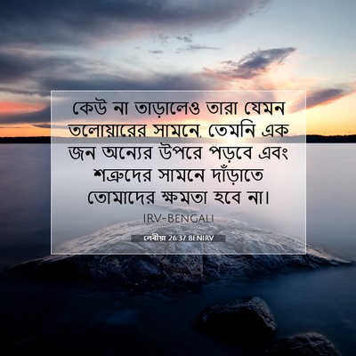 Picture 07 - লেবীয়া 26:37 BENIRV - কেউ না তাড়ালেও - Bible Verse Picture