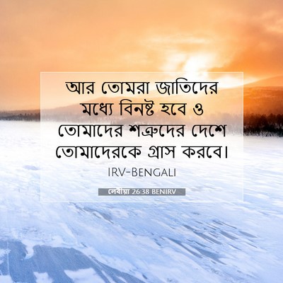 Picture 07 - লেবীয়া 26:38 BENIRV - আর তোমরা জাতিদের - Bible Verse Picture