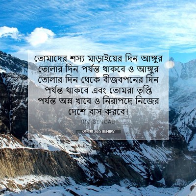 Picture 07 - লেবীয়া 26:5 BENIRV - তোমাদের শস্য - Bible Verse Picture