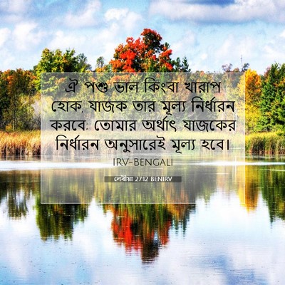 Picture 07 - লেবীয়া 27:12 BENIRV - ঐ পশু ভাল কিংবা - Bible Verse Picture