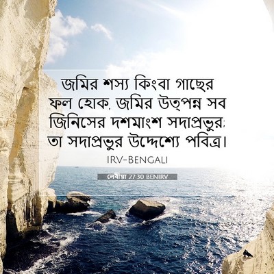 Picture 07 - লেবীয়া 27:30 BENIRV - জমির শস্য কিংবা - Bible Verse Picture
