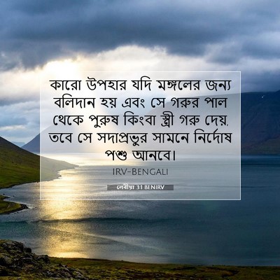 Picture 07 - লেবীয়া 3:1 BENIRV - কারো উপহার যদি - Bible Verse Picture