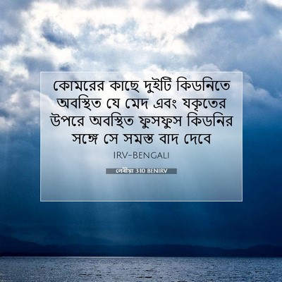 Picture 07 - লেবীয়া 3:10 BENIRV - কোমরের কাছে দুইটি - Bible Verse Picture
