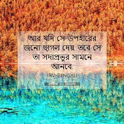 Picture 07 - লেবীয়া 3:12 BENIRV - আর যদি সে উপহারের - Bible Verse Picture