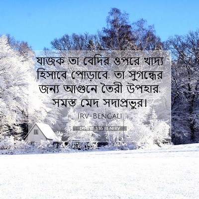Picture 07 - লেবীয়া 3:16 BENIRV - যাজক তা বেদির ওপরে - Bible Verse Picture
