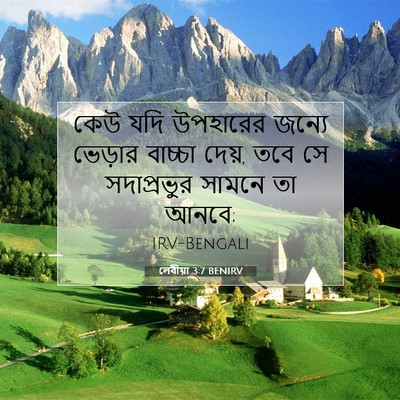 Picture 07 - লেবীয়া 3:7 BENIRV - কেউ যদি উপহারের - Bible Verse Picture