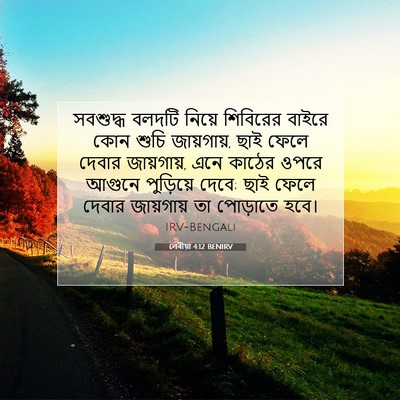 Picture 07 - লেবীয়া 4:12 BENIRV - সবশুদ্ধ বলদটি - Bible Verse Picture