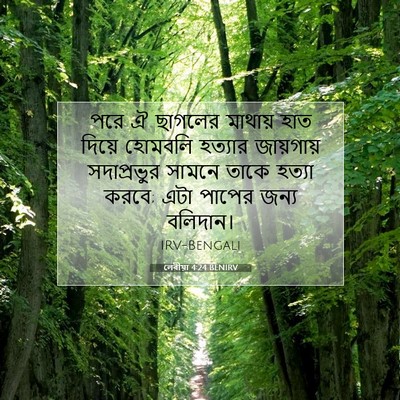 Picture 07 - লেবীয়া 4:24 BENIRV - পরে ঐ ছাগলের - Bible Verse Picture