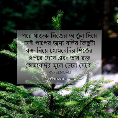 Picture 07 - লেবীয়া 4:25 BENIRV - পরে যাজক নিজের - Bible Verse Picture