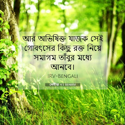 Picture 07 - লেবীয়া 4:5 BENIRV - আর অভিষিক্ত যাজক - Bible Verse Picture