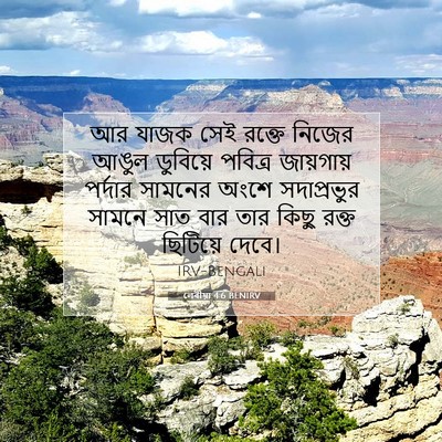 Picture 07 - লেবীয়া 4:6 BENIRV - আর যাজক সেই রক্তে - Bible Verse Picture