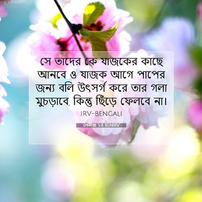 Picture 07 - লেবীয়া 5:8 BENIRV - সে তাদের কে যাজকের - Bible Verse Picture