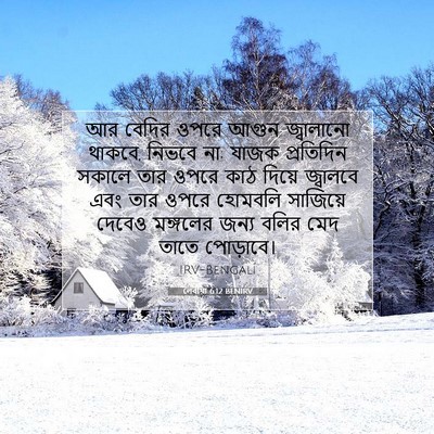 Picture 07 - লেবীয়া 6:12 BENIRV - আর বেদির ওপরে আগুন - Bible Verse Picture