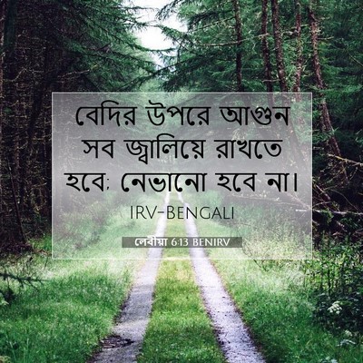 Picture 07 - লেবীয়া 6:13 BENIRV - বেদির উপরে আগুন সব - Bible Verse Picture