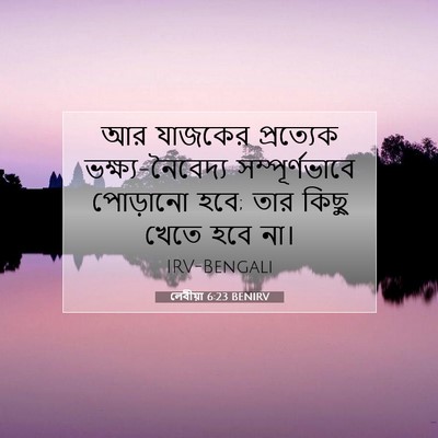 Picture 07 - লেবীয়া 6:23 BENIRV - আর যাজকের - Bible Verse Picture