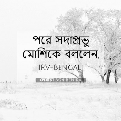 Picture 07 - লেবীয়া 6:24 BENIRV - পরে সদাপ্রভু - Bible Verse Picture